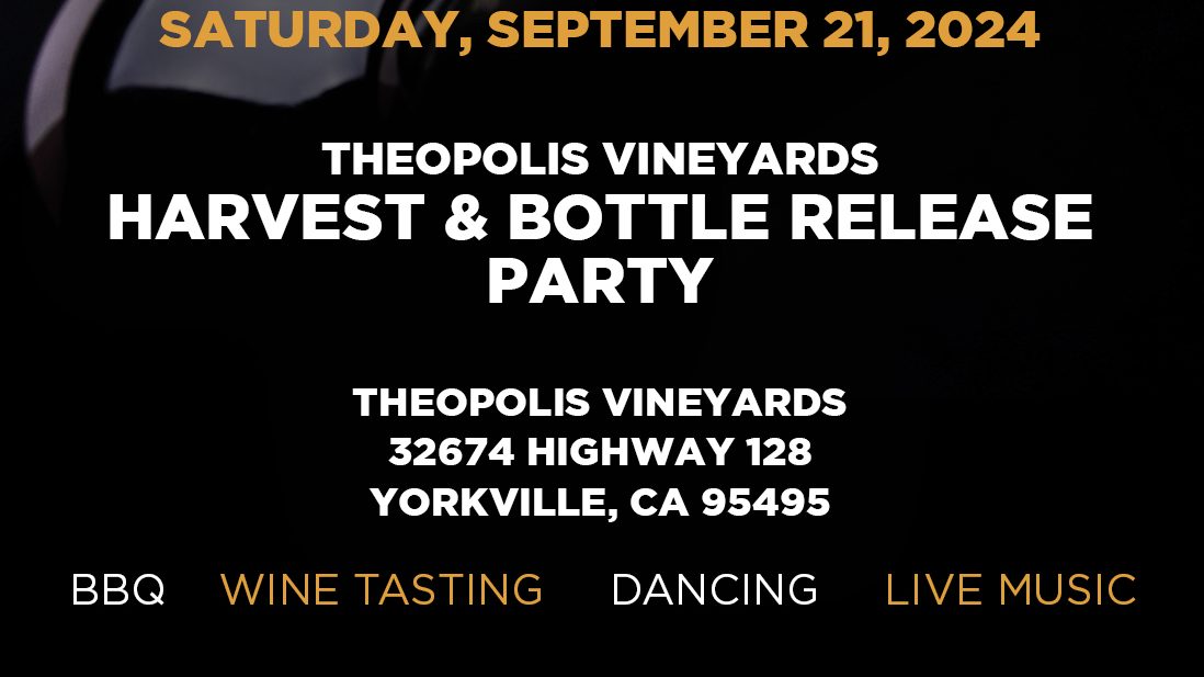 Theopolis Vineyards Annual Harvest Party