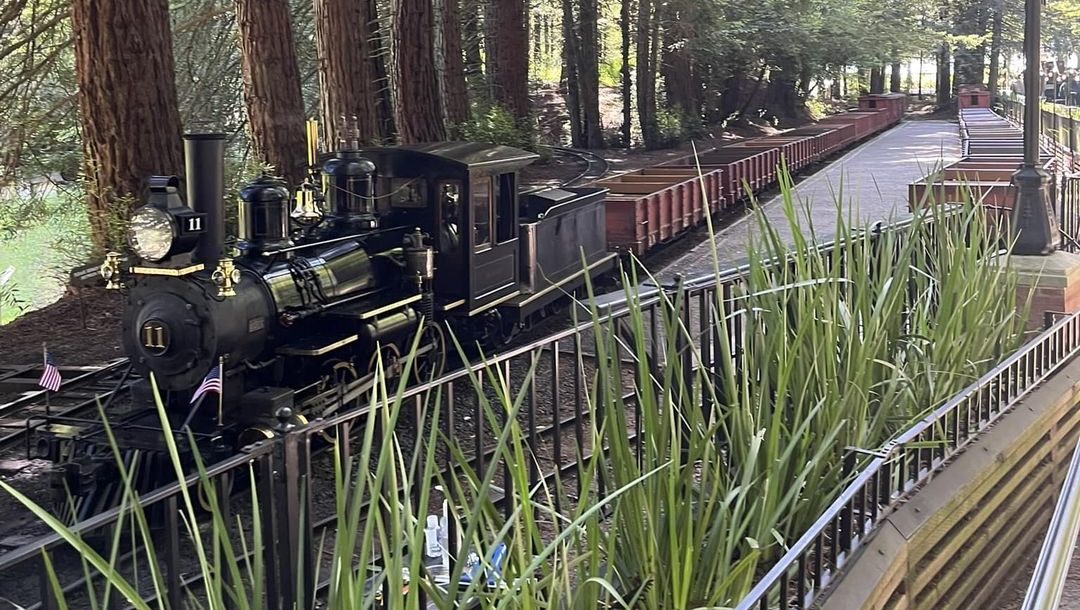 Tilden Park Steam Train