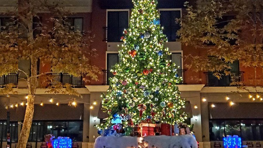 Petaluma Tree Lighting Celebration