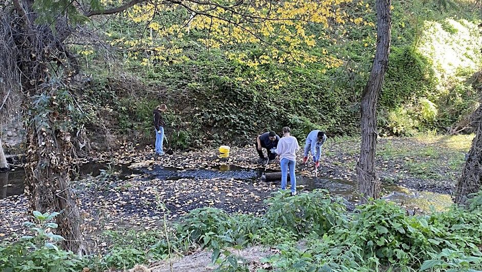 MLK Jr. Day of Service at Don Castro Regional Recreation Area