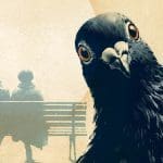 the aves