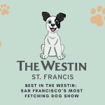 Best In The Westin San Francisco’s Most Fetching Dog Show