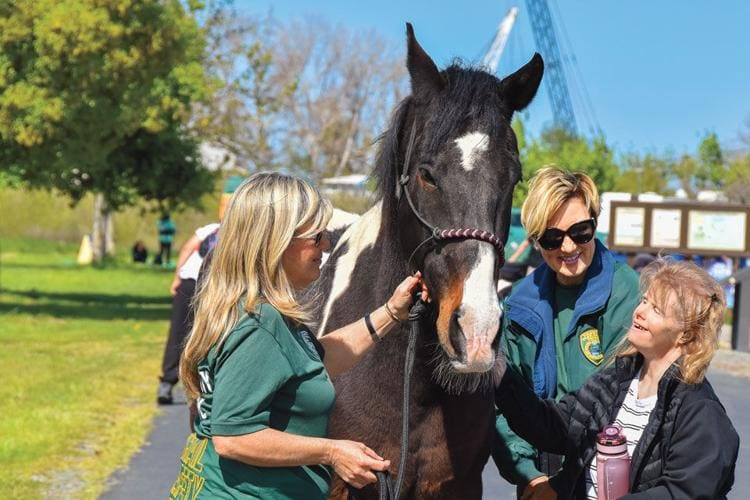 Resources for East Bay Families With Special Needs