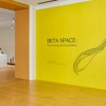 Beta Space Patty Chang and David Kelley