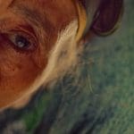 The Mother of All Lies