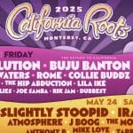 California Roots Music & Arts Festival 2025