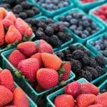 Berry Bash