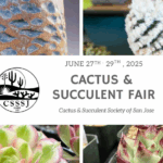 San Jose Cactus and Succulent Fair