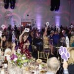 Joybound’s Unleash Happiness 2025