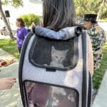 Joybound’s Unleash Happiness 2025