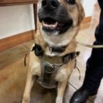 Joybound’s Unleash Happiness 2025