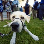 Joybound’s Unleash Happiness 2025