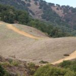 San Rafael: Music in the Park