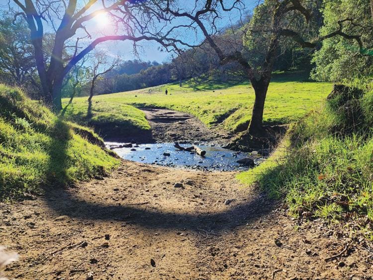 East Bay Shaded Hikes
