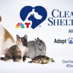 The San Francisco SPCA Joins NBCUniversal’s 11th Annual Clear The Shelters Campaign