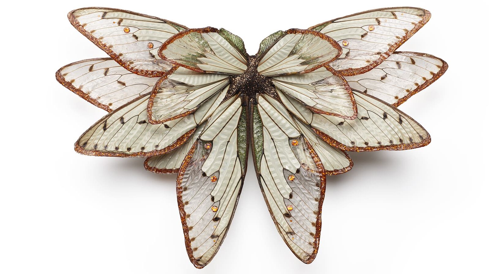 Wunderkammer: The Collection of Susan Beech