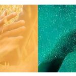 Black Life: Harvest as Miracle