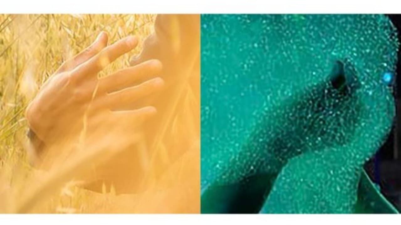 Black Life: Harvest as Miracle