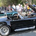 21st Annual Orinda Classic Car Show