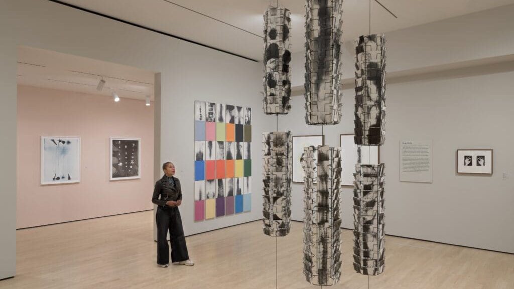 Last Look for Members — Kunié Suguira: Photopainting