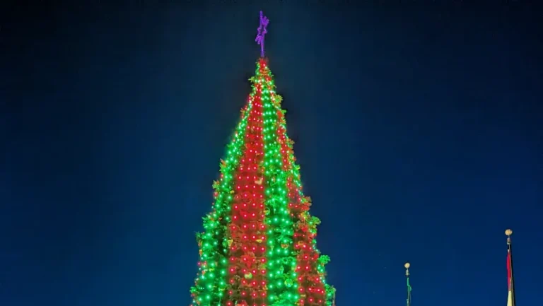 San Francisco Tree Lighting & Holiday Events 2025