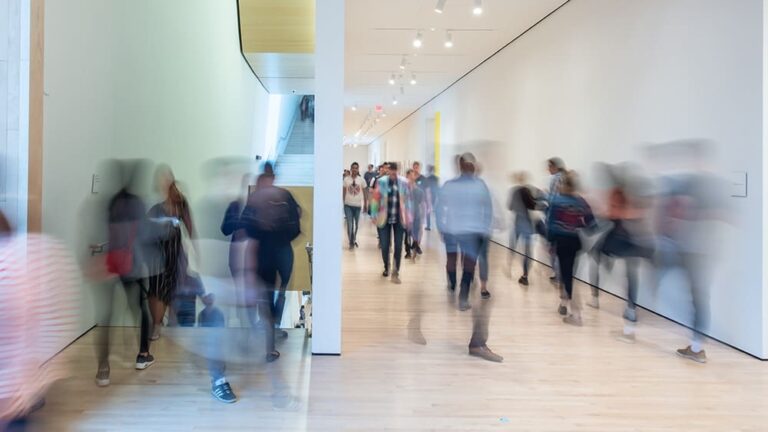 Culture for Community: Free Day