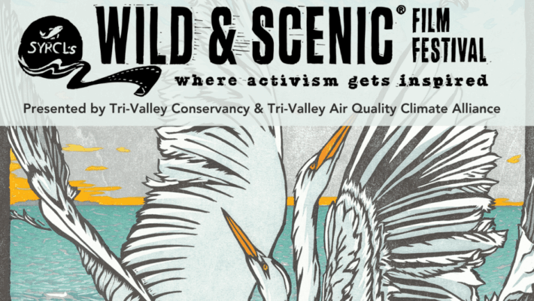 Wild & Scenic Film Festival