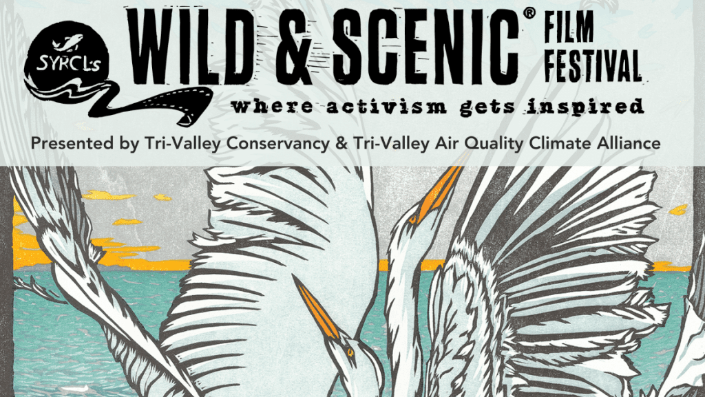 Wild & Scenic Film Festival