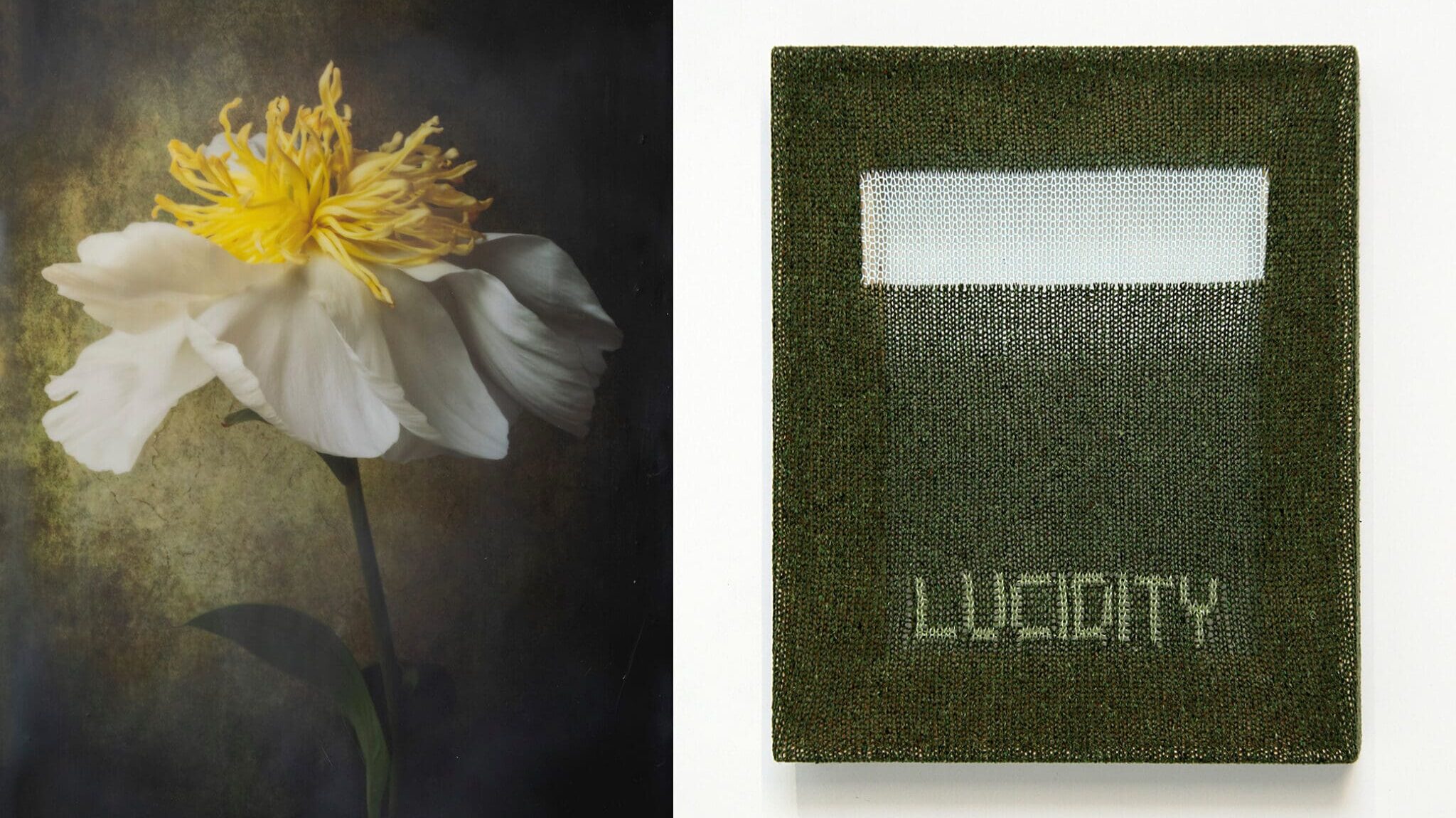 "Fiber & Light" by Brigitte Carnochan and Patrick Carroll