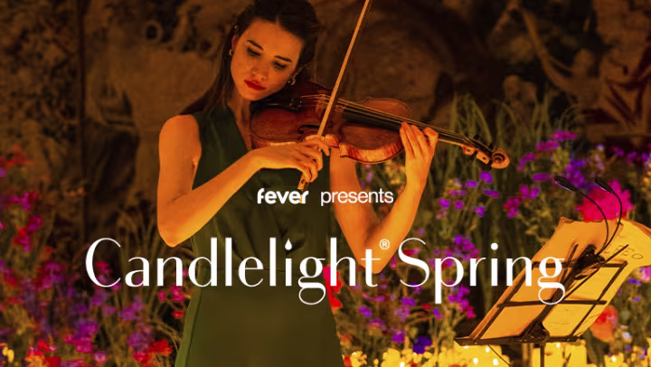 Candlelight: Neo-Soul Favorites ft. Songs by Prince, Childish Gambino, & More