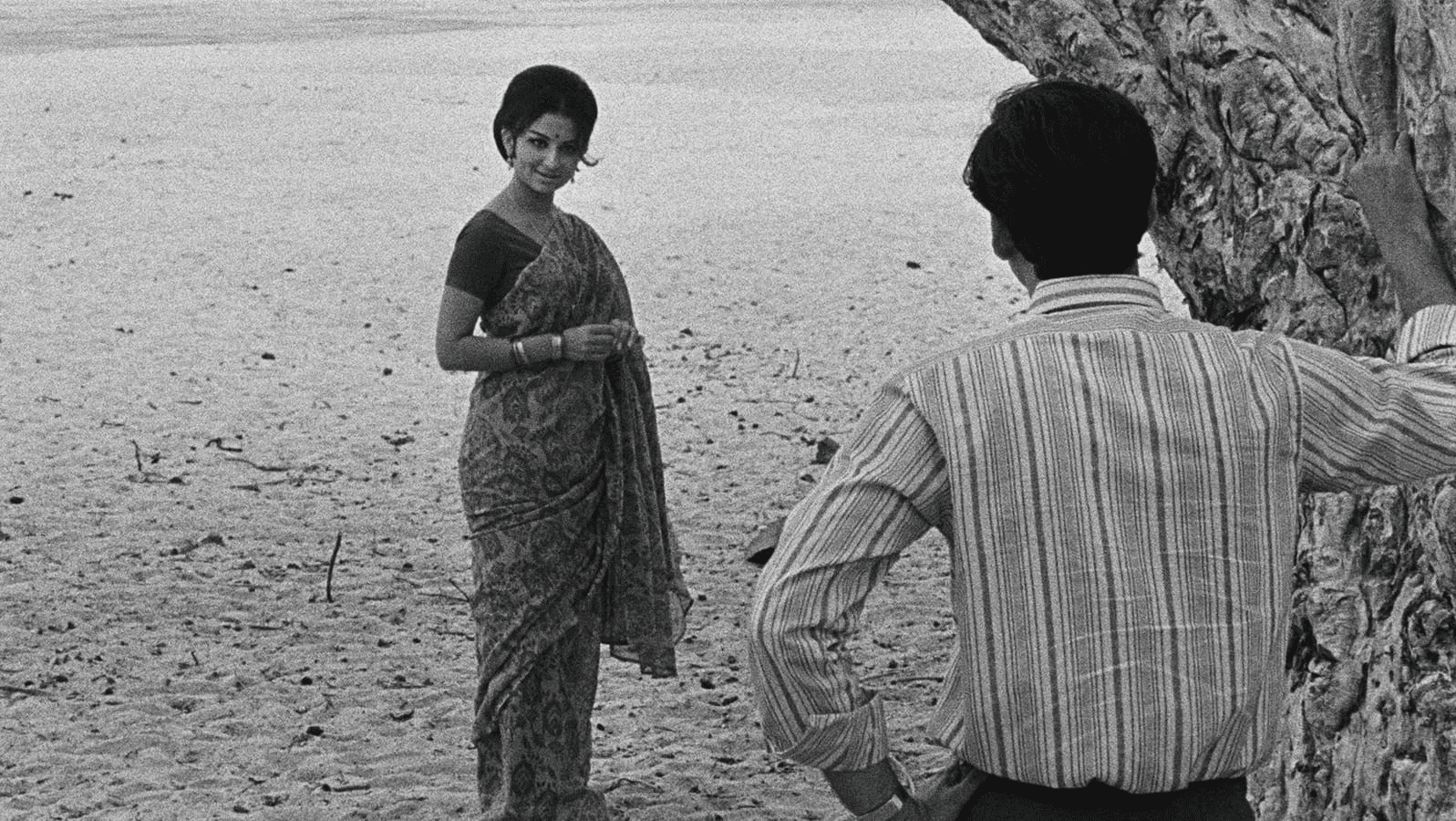 Days and Nights in the Forest