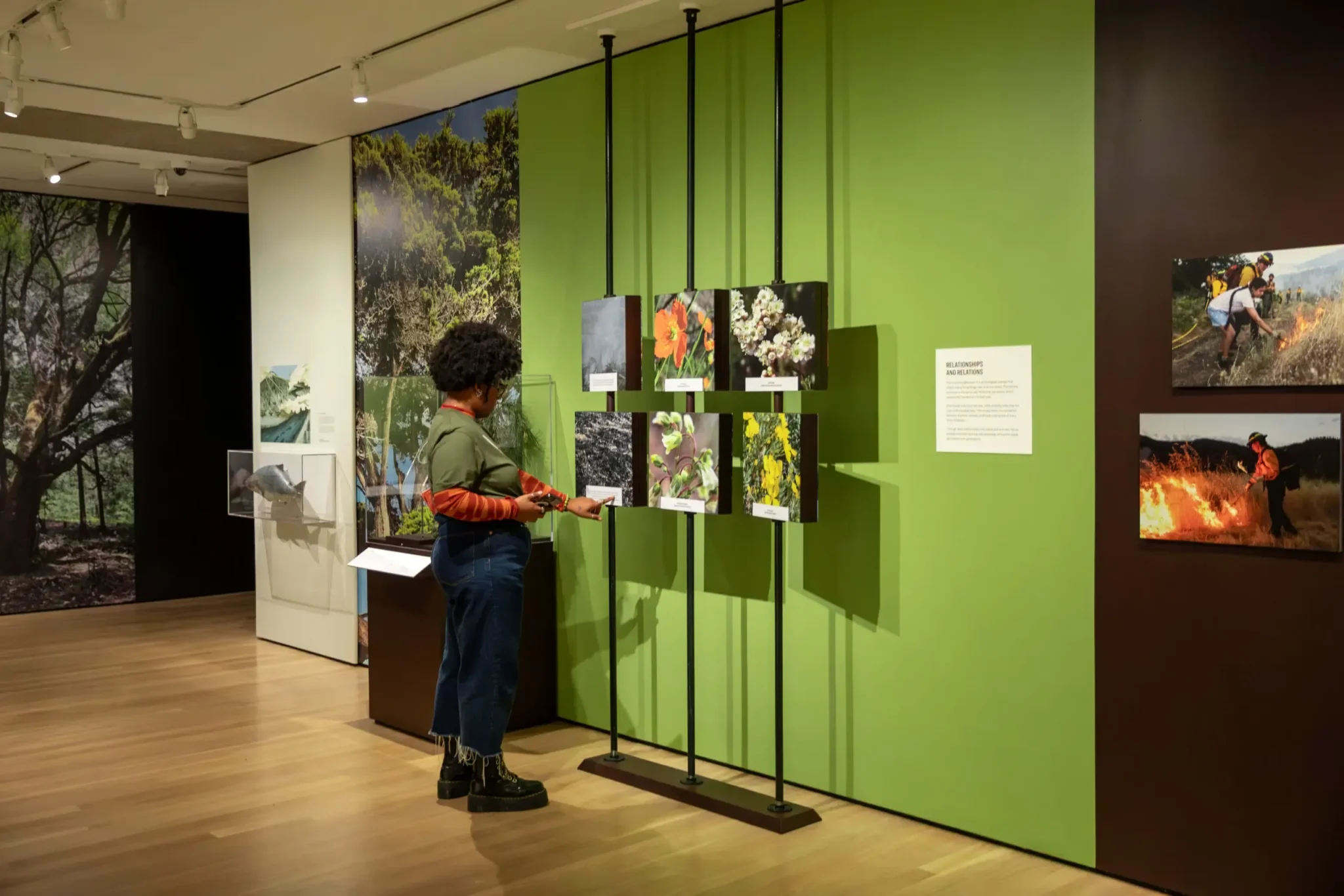 Spotlight Sundays: Cultural Burn Practices and the Future of Fire