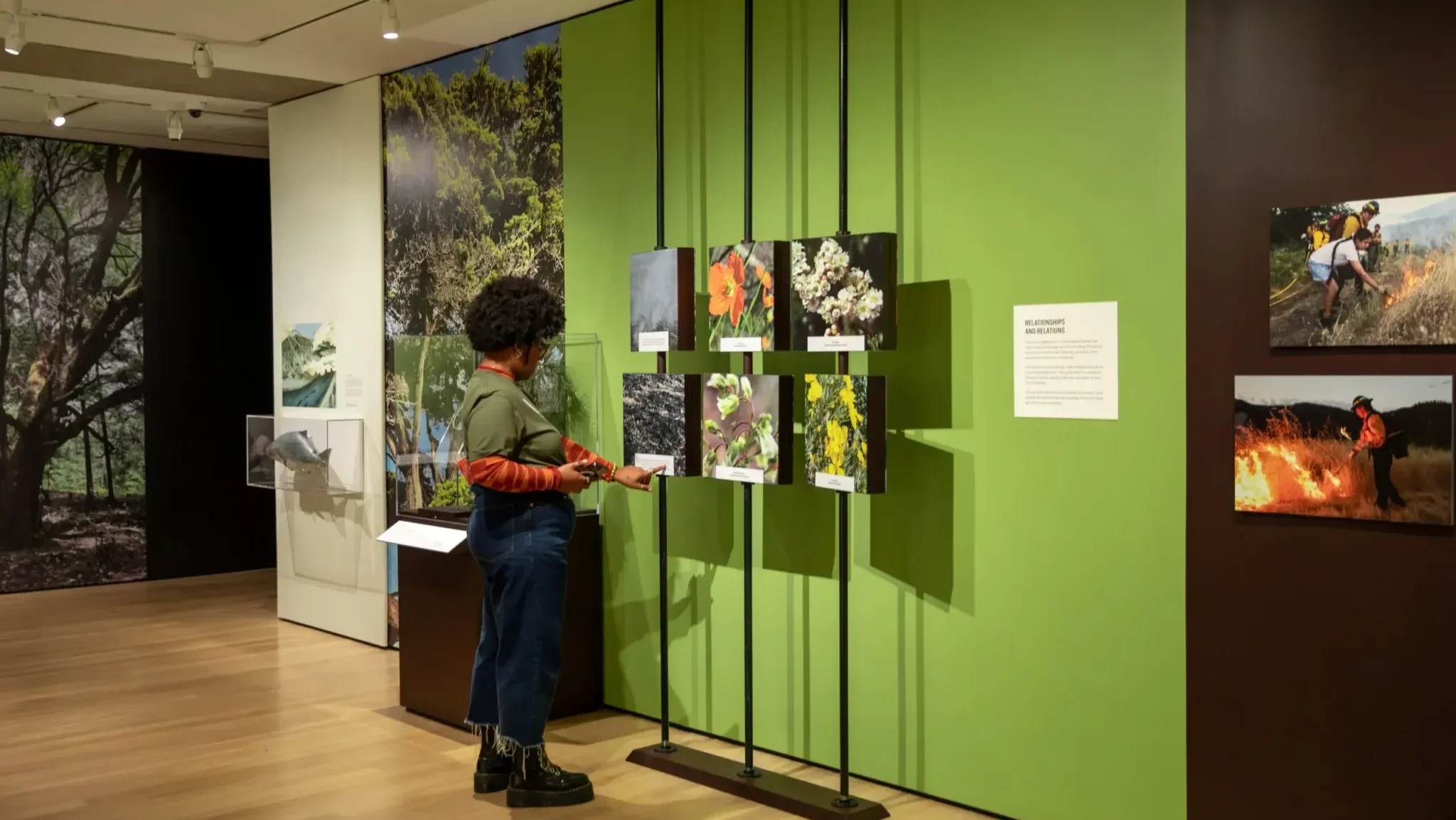 Spotlight Sundays: Cultural Burn Practices and the Future of Fire