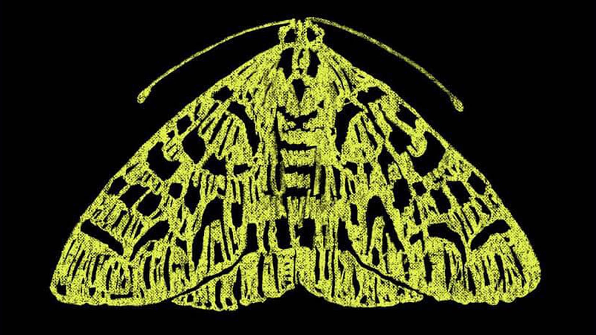 The Moth StorySLAM - AMERICAN DREAMS