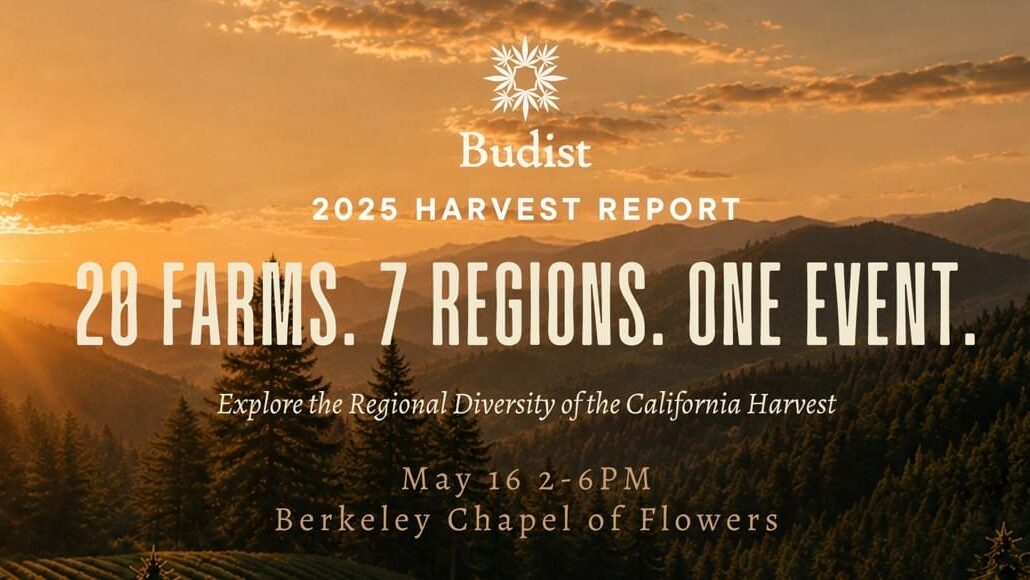 Budist Harvest Report — Release Event
