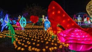 Imaginarium Ontario Mills Where Light Meets Magic