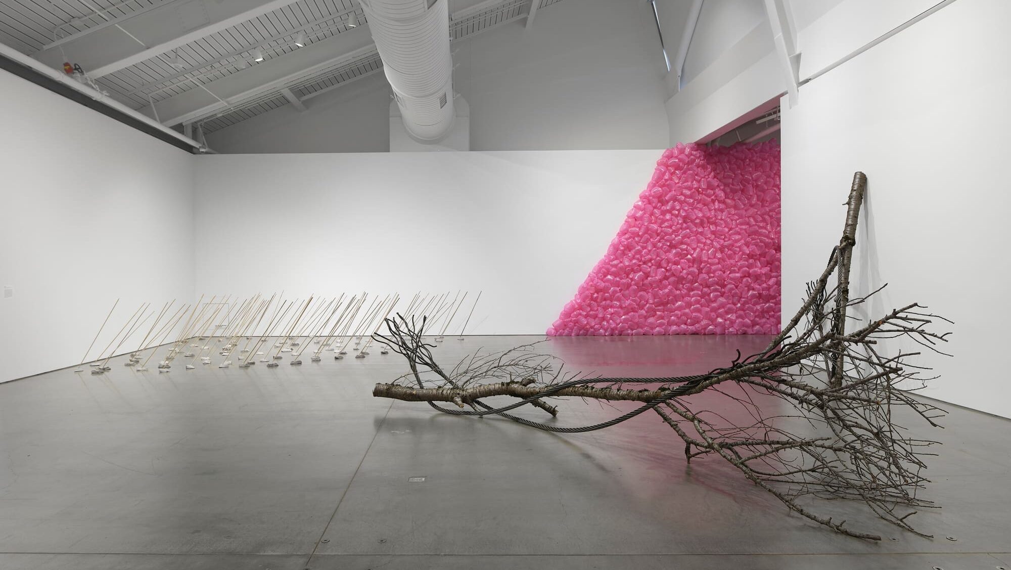 Exhibition Tour: Maren Hassinger: Living Moving Growing