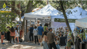 Mill Valley Fall Arts Festival September 19-20, 2026