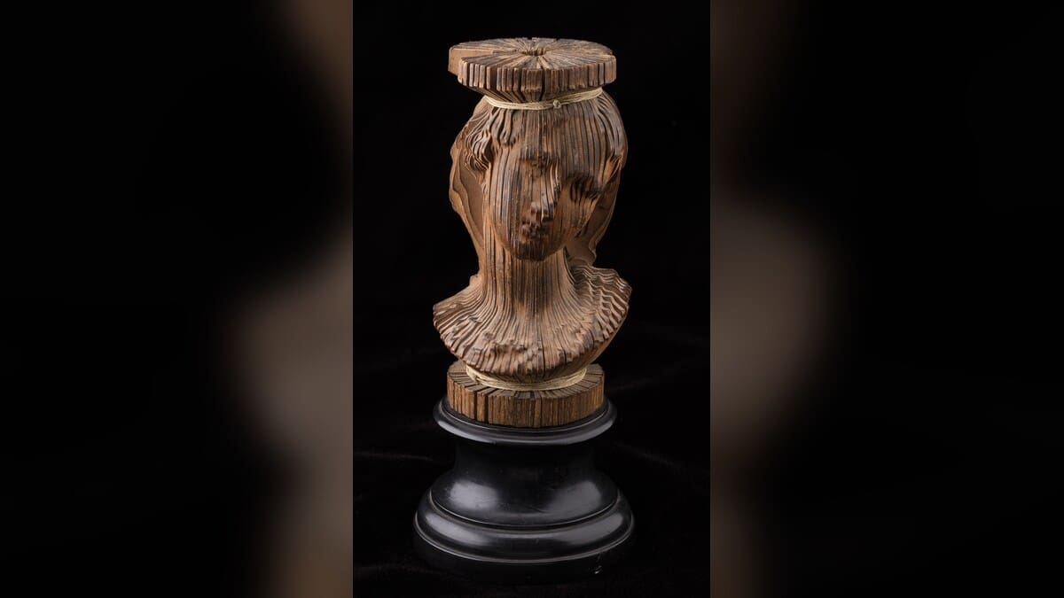 Solid Pictures: Photosculpture and the Making of Modern Likeness
