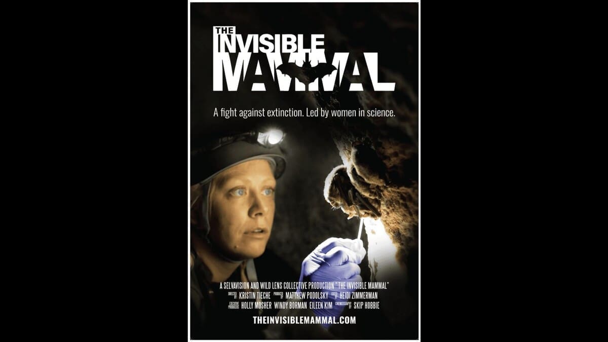 The Invisible Mammal film poster