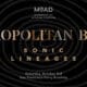 Afropolitan Ball Sonic Lineages event artwork