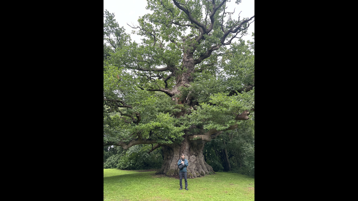 TREES by Sam Green with Rebecca Solnit featuring Sō Percussion
