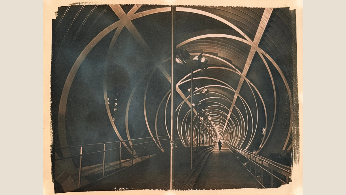 Cyanotype Toning: Beyond the Blue