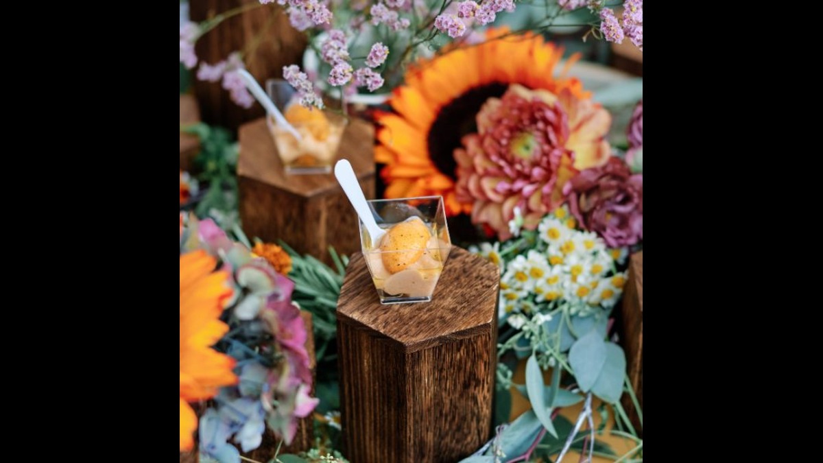 The Art Of Food & Wine 2026
