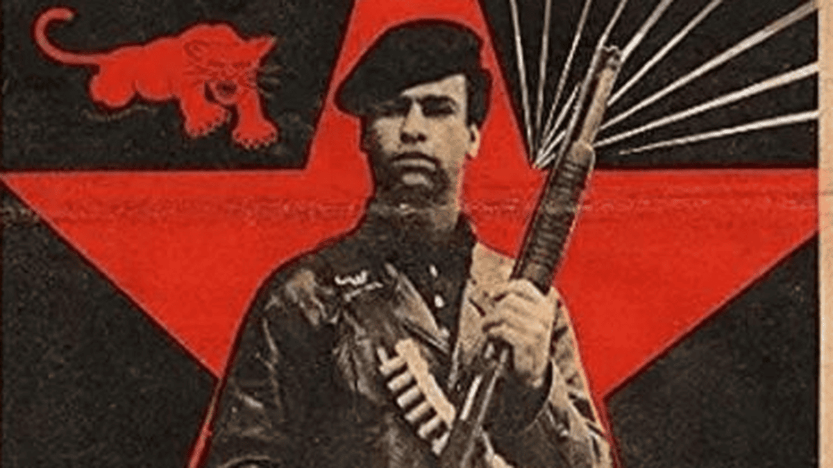 Historical Black Panther newspaper artwork with a beret-wearing figure, red star and Panther emblem.