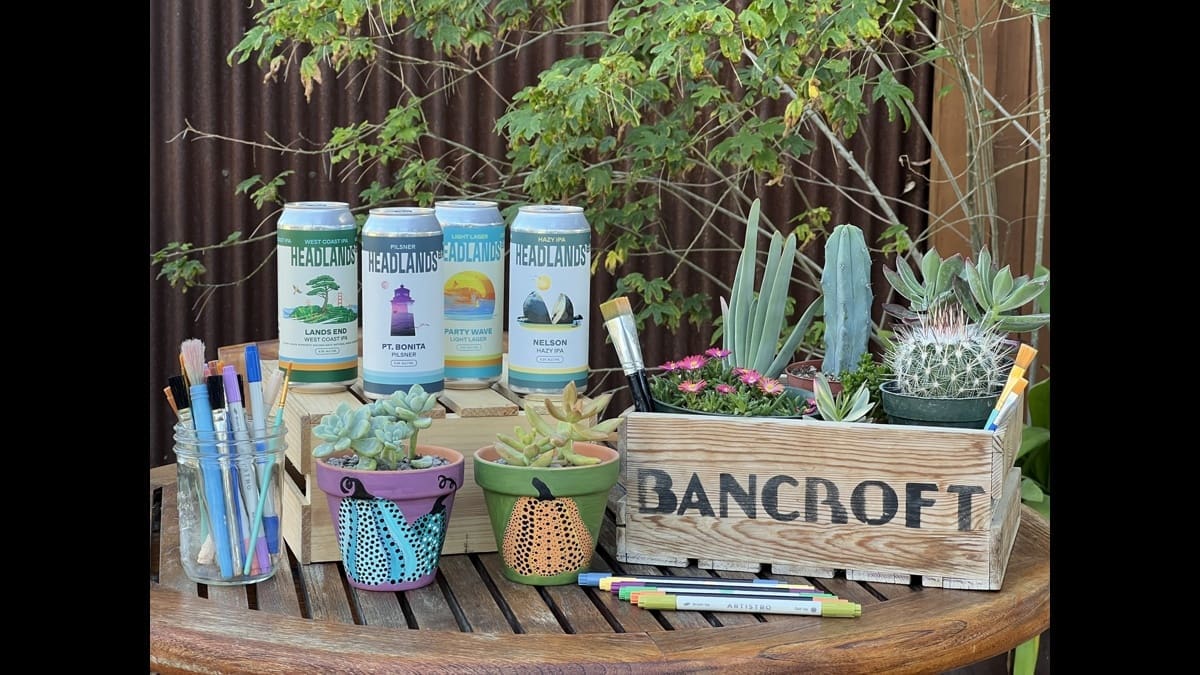 Painted pumpkin planters, succulents and art supplies at Headlands Brewing