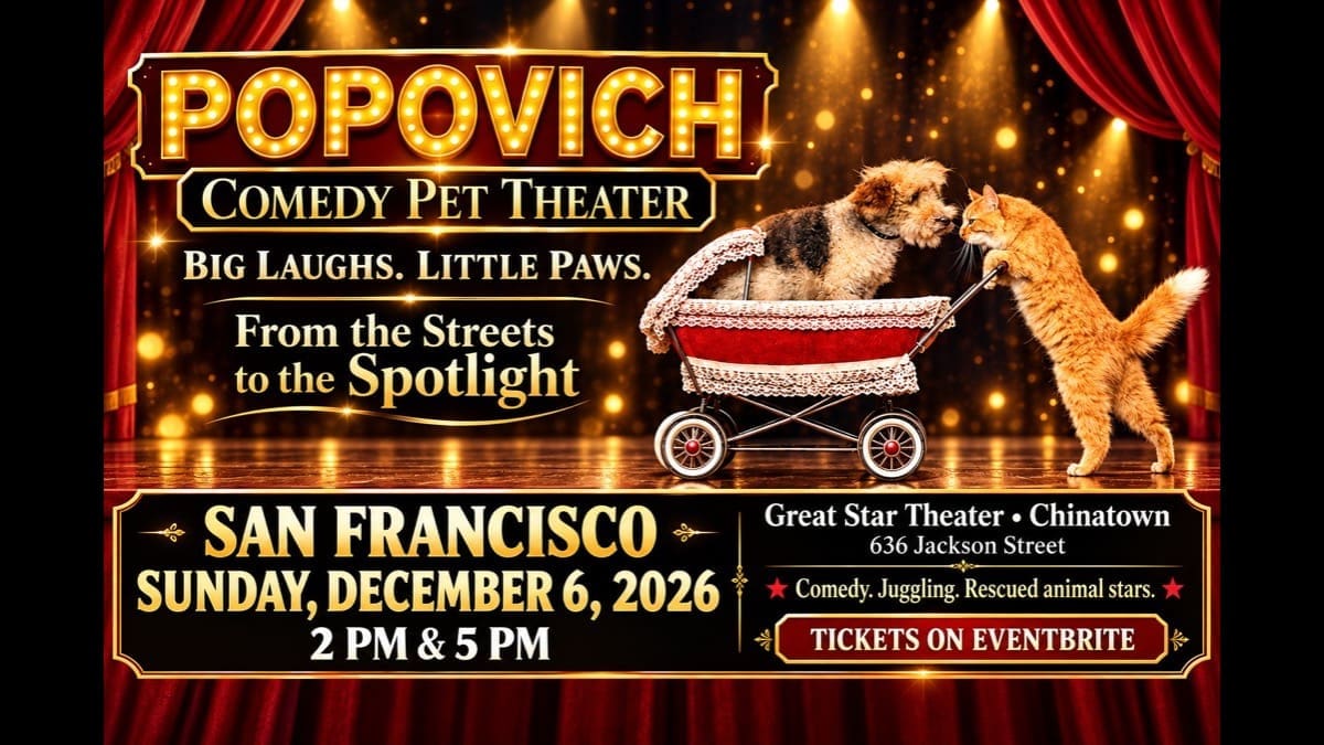 Popovich Comedy Pet Theater artwork featuring a dog in a carriage and a cat at Great Star Theater.